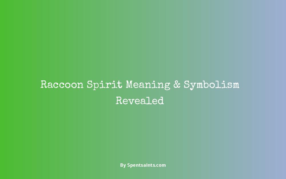 spirit meaning of racoon