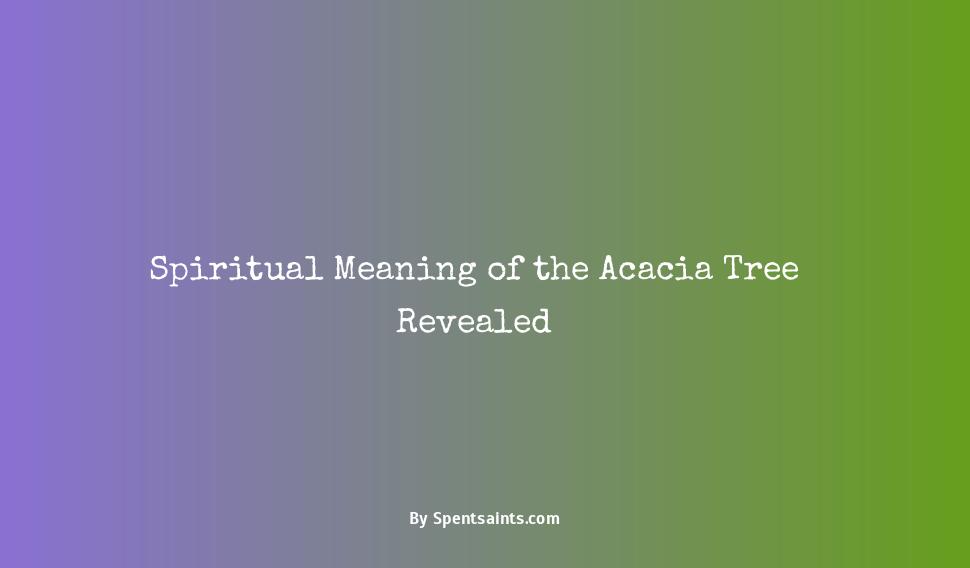 spiritual meaning of acacia tree