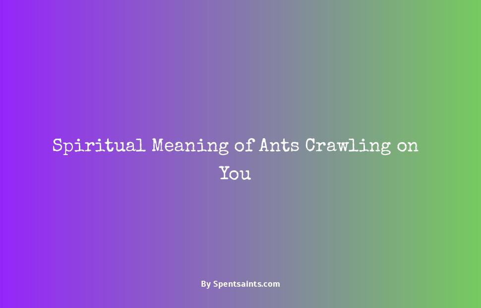 spiritual meaning of ants crawling on you