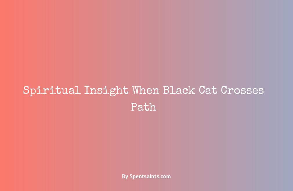spiritual meaning of black cat crossing your path