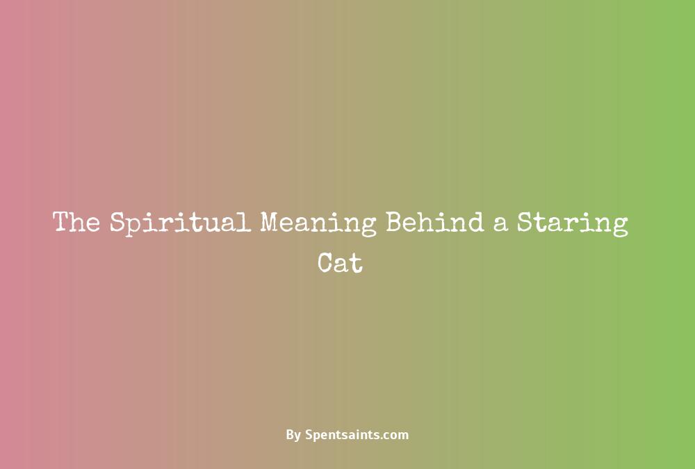spiritual meaning of cat staring at you