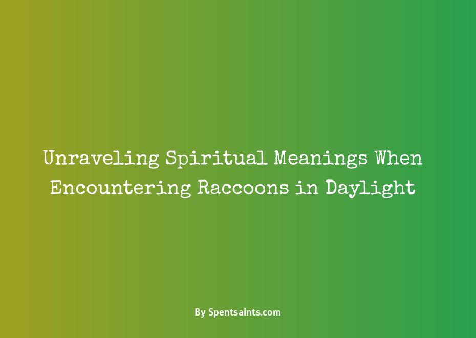 spiritual meaning of seeing a raccoon during the day
