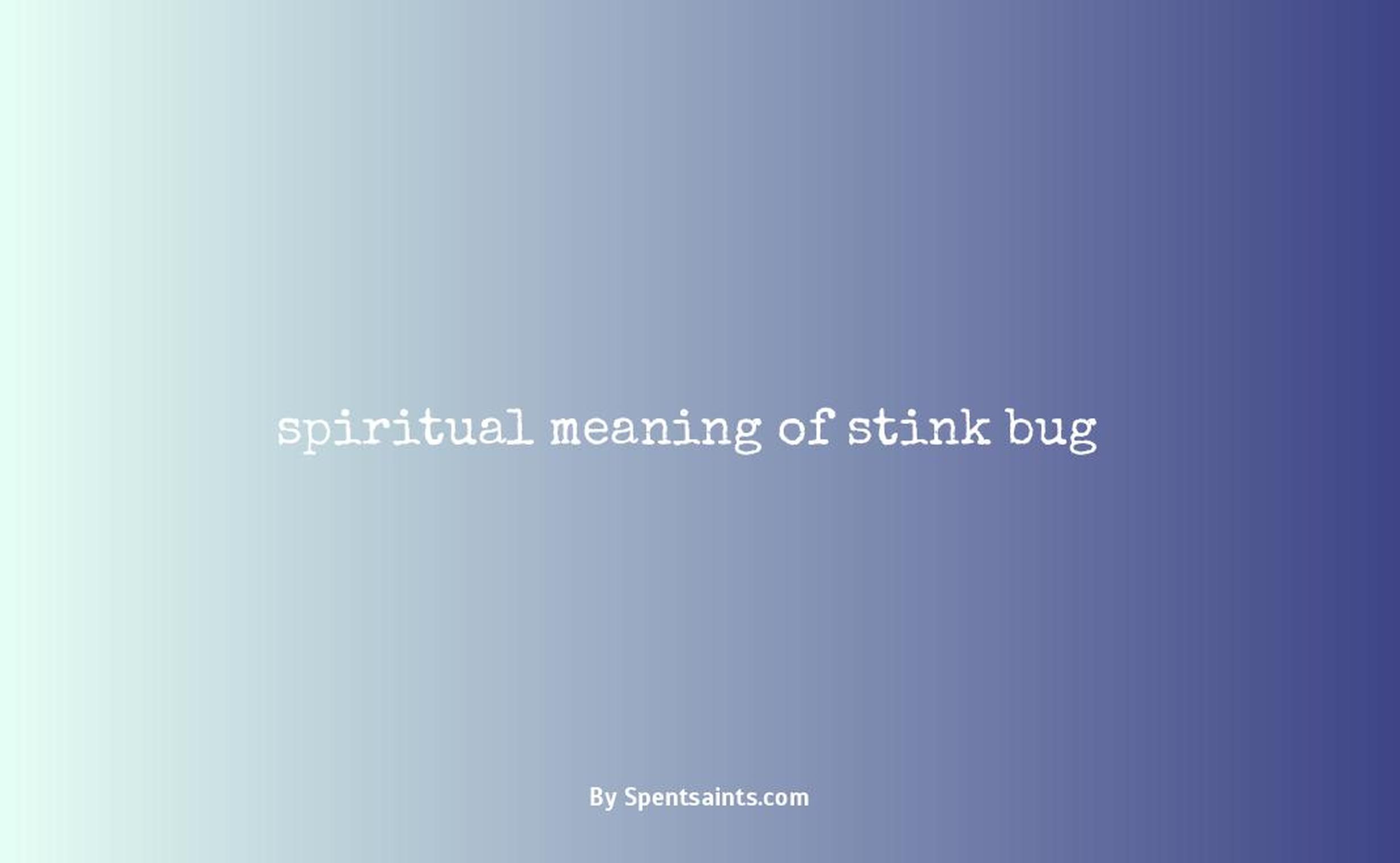 spiritual meaning of stink bug