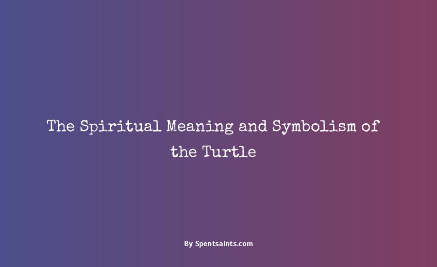 spiritual meaning of a turtle