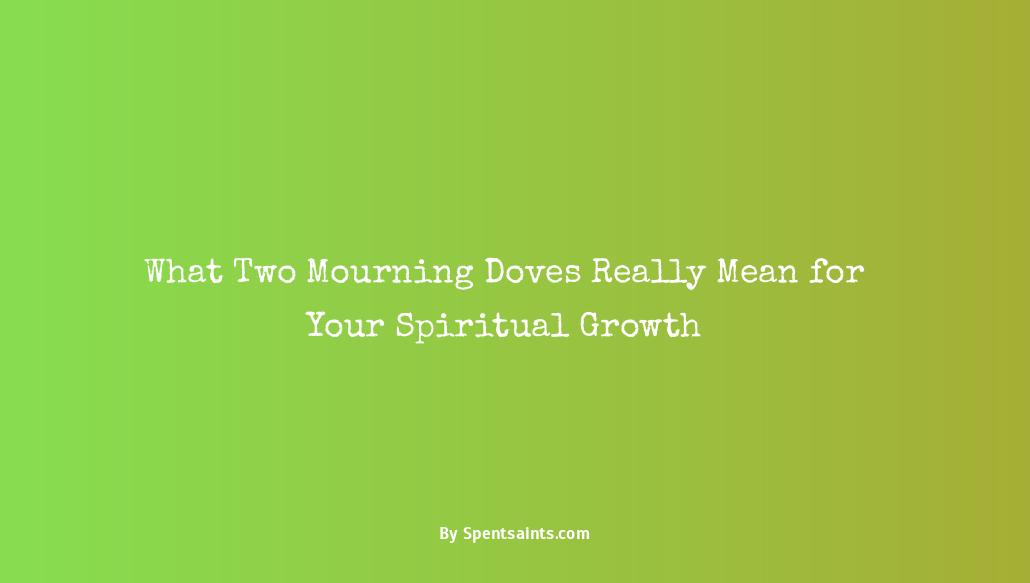 two mourning dove spiritual meaning