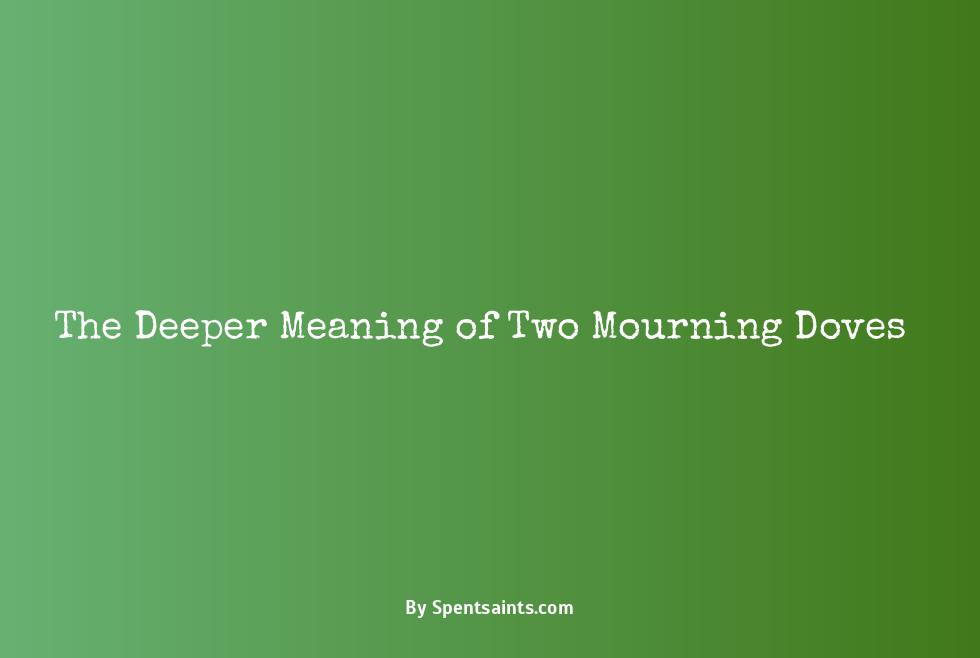 two mourning doves meaning