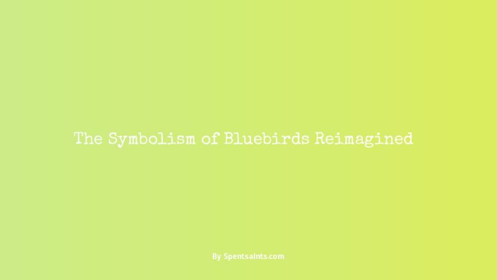 What Do Bluebirds Symbolize 1024x577 