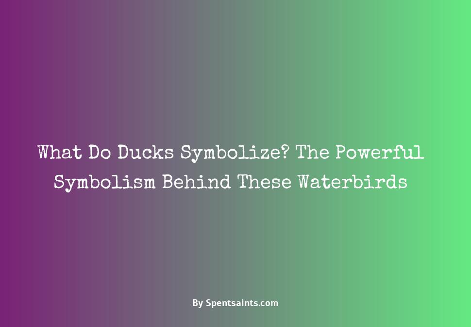 what do ducks symbolize