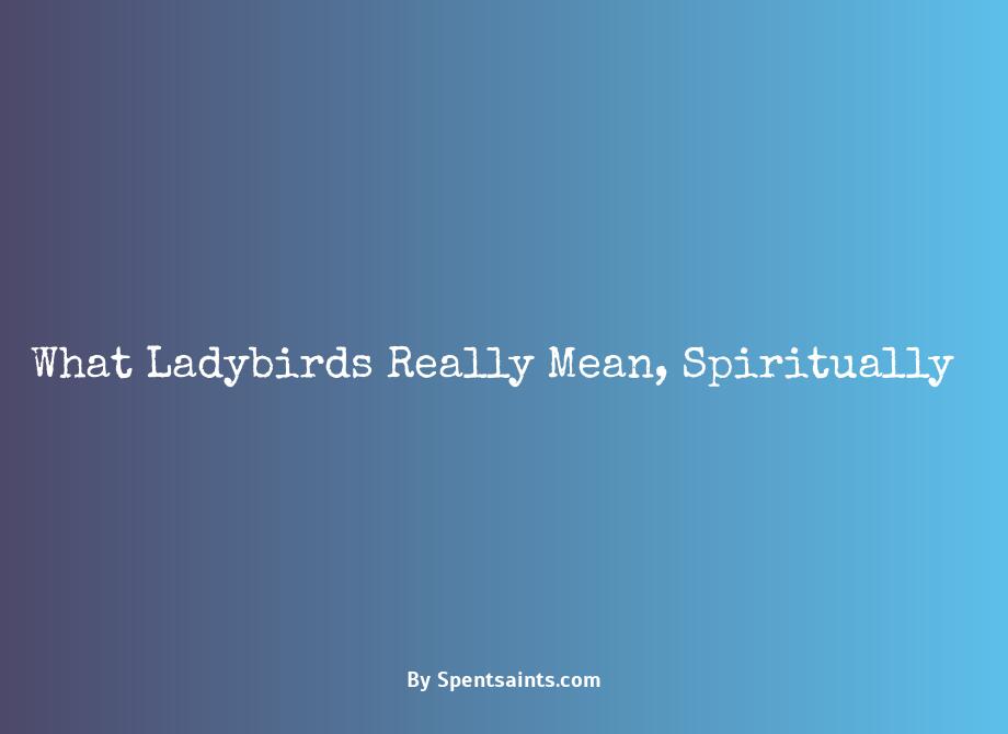 what do ladybirds mean spiritually