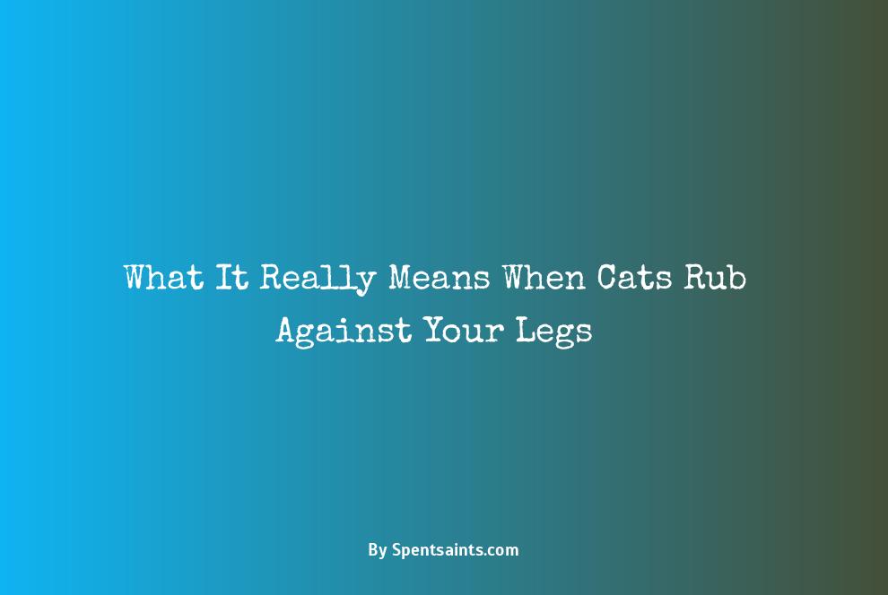 what does it mean when cats rub against your legs