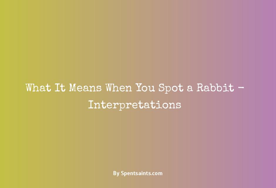 what does it mean when you see a rabbit