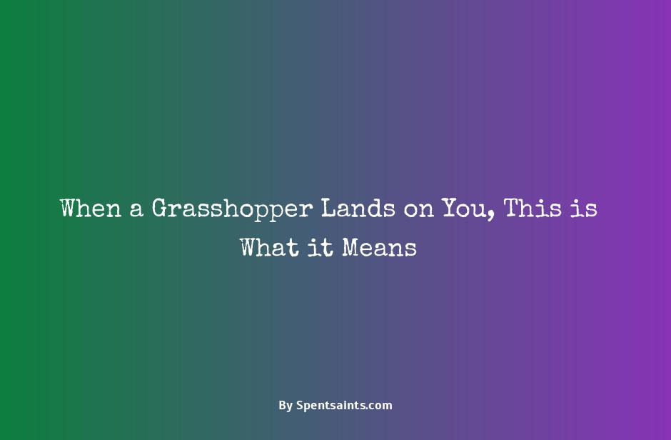 what does it mean when a grasshopper lands on you