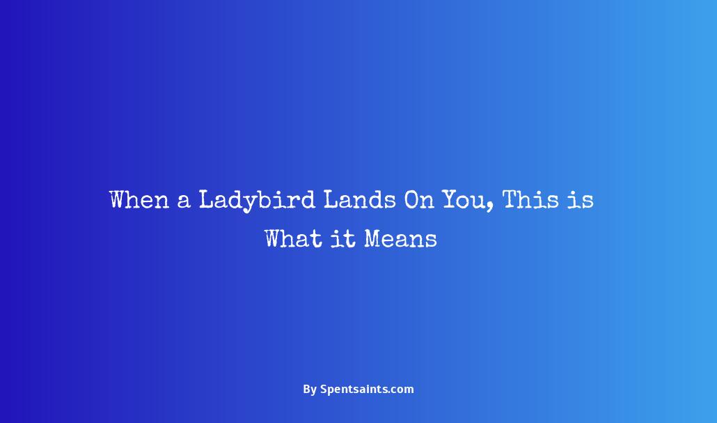 what does it mean when a ladybird lands on you