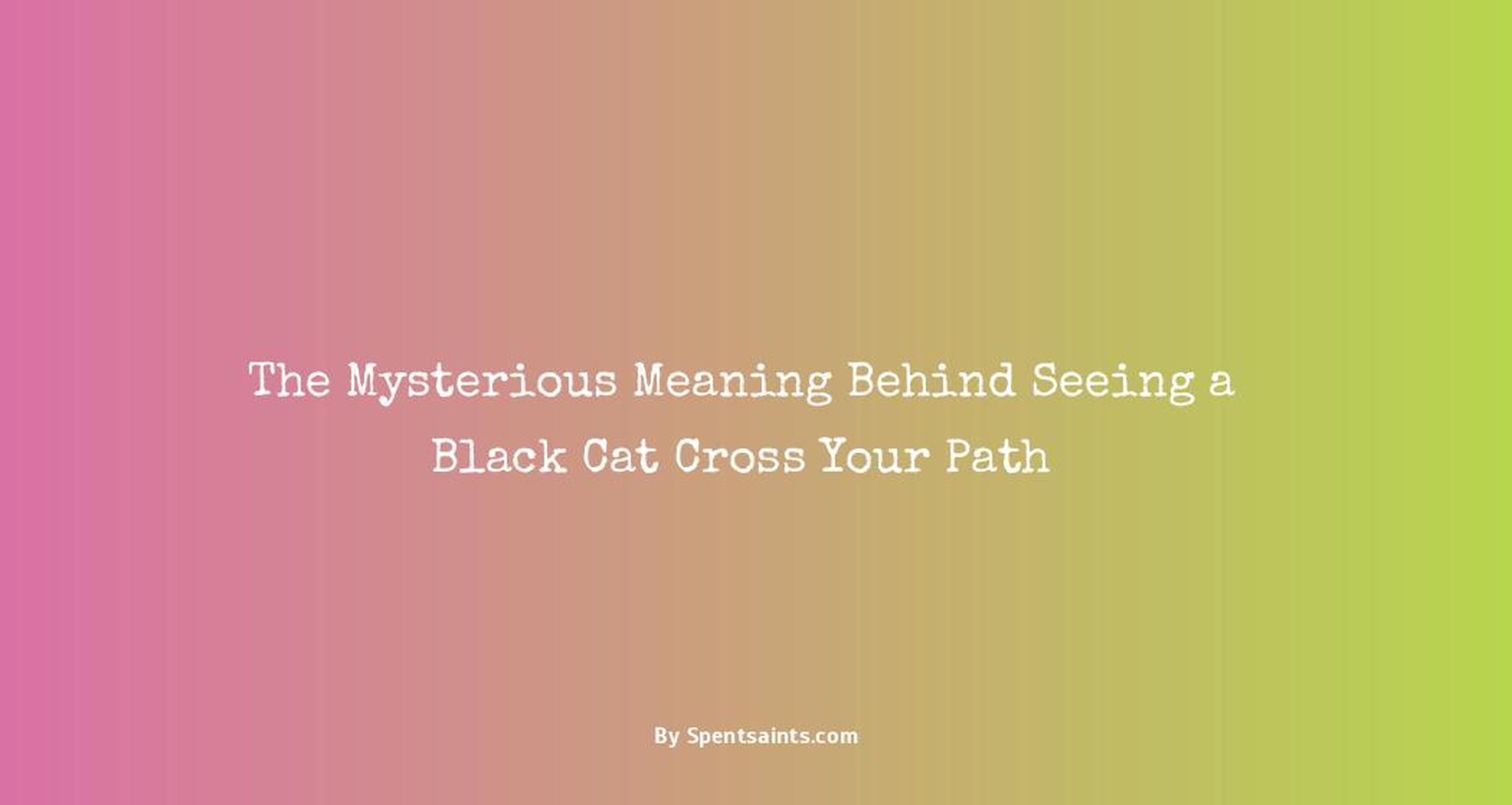 what does seeing a black cat mean