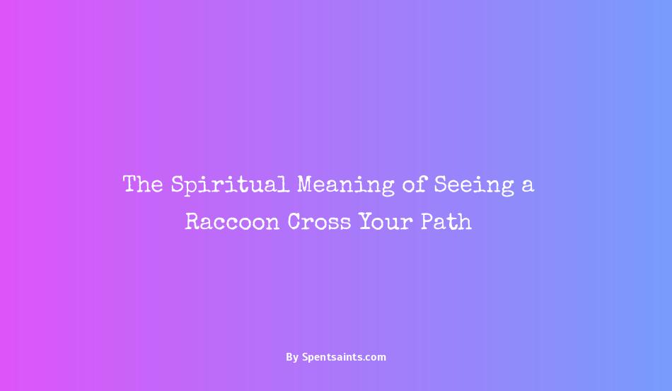 what does seeing a raccoon mean spiritually