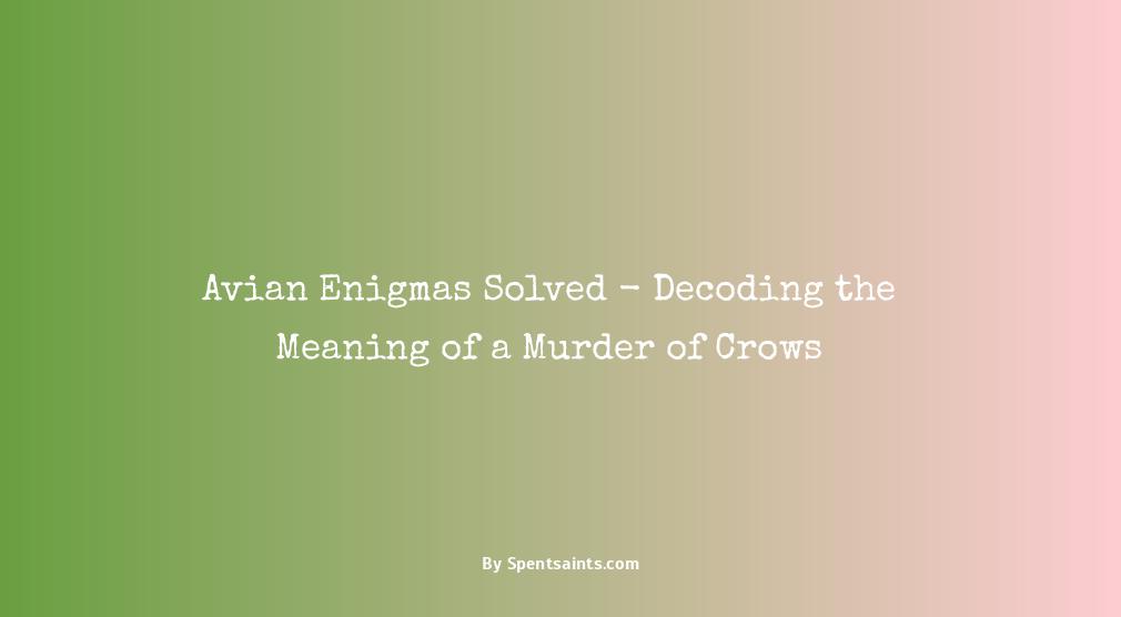 what does a murder of crows mean
