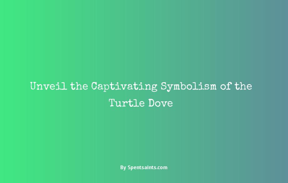 what does a turtle dove symbolize