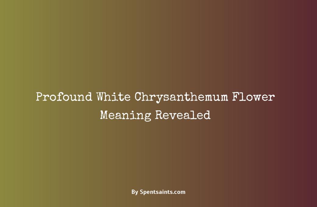 white chrysanthemum flower meaning