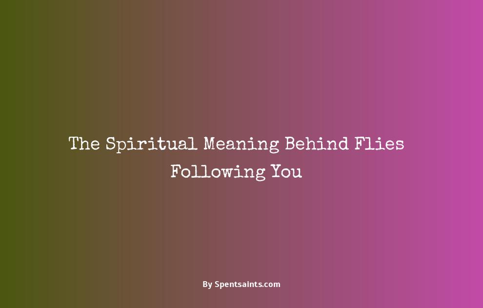 why do flies follow me spiritual